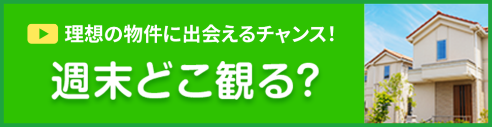 週末どこ観る?